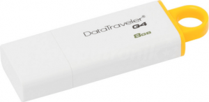 DTIG4/8GB