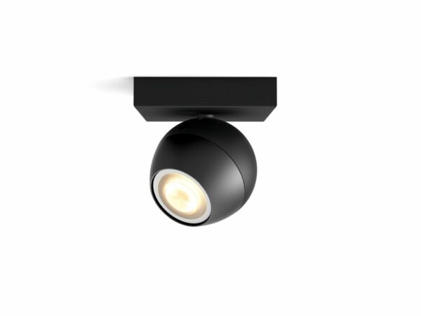 Spot luminos Philips Buckram Hue, ZigBee „000008718696175743” (timbru verde 2.00 lei)