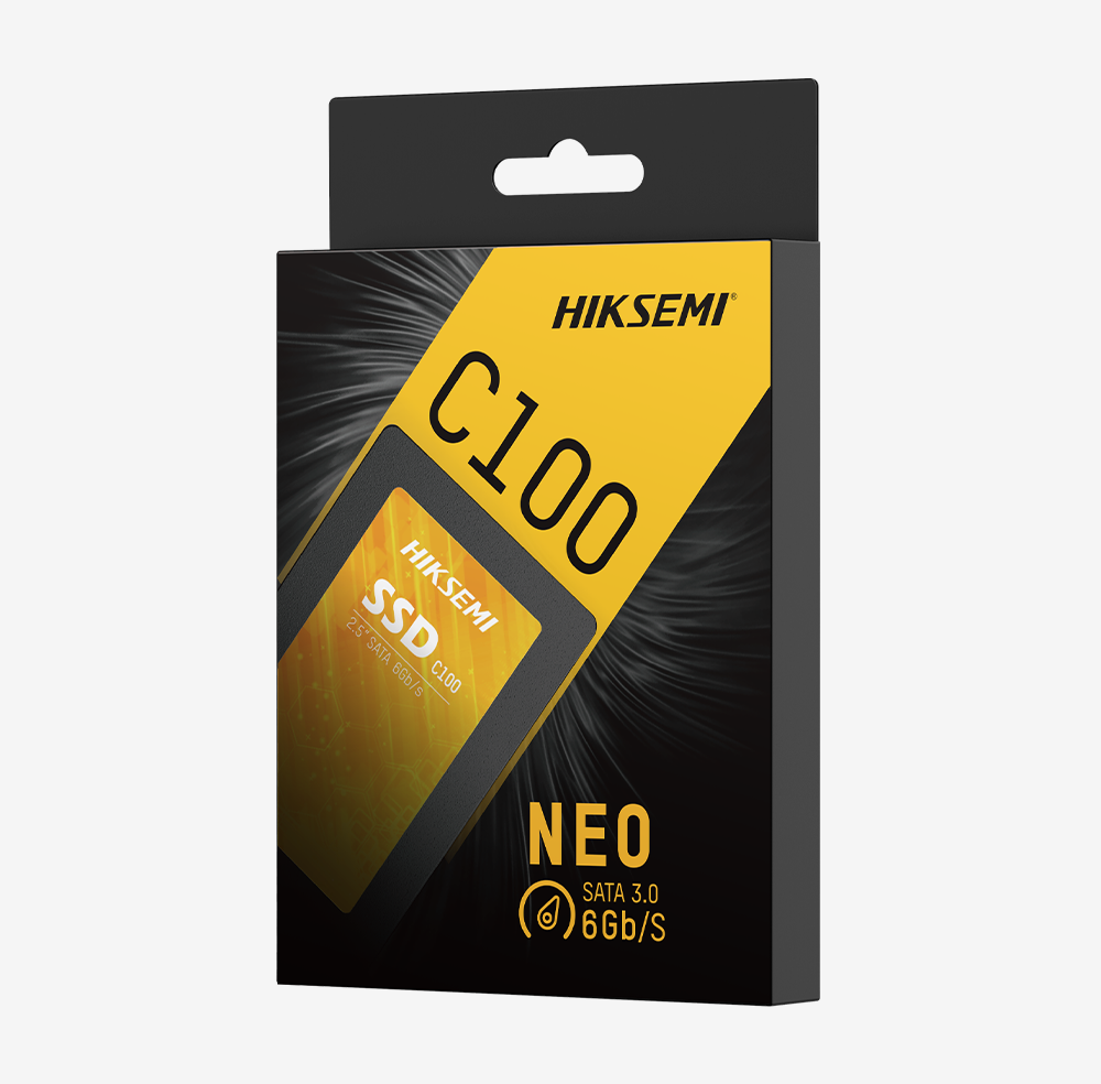 HS-SSD-C100/240G