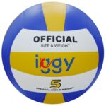 IGVB-PRO