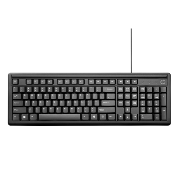 TASTATURA HP HP TASTATURA USB 100, „2UN30AA” (timbru verde 0.8 lei)