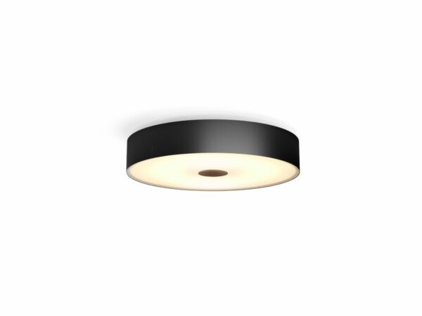 Fair Hue ceiling lamp black „000008719514341258” (timbru verde 2.00 lei)