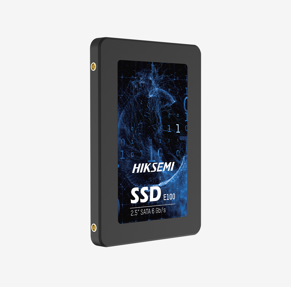 HS-SSD-E100/256G