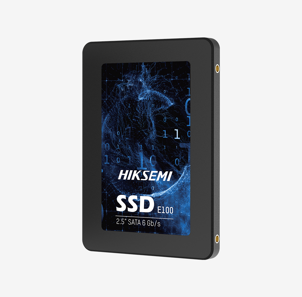 HS-SSD-E100/256G