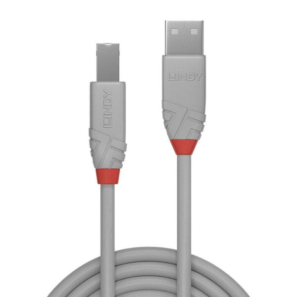 Cablu Lindy 2m USB 2.0 Tip A la Tip B „LY-36683” (timbru verde 0.18 lei)
