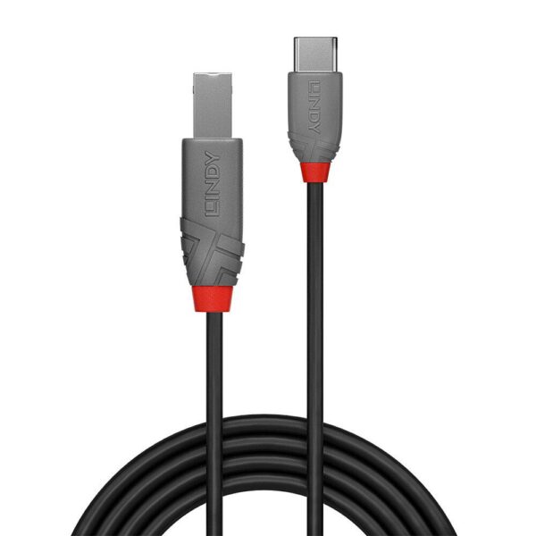 Cablu Lindy 1m USB 2.0 Tip A la Tip B „LY-36941” (timbru verde 0.08 lei)
