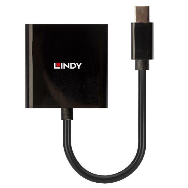 Lindy Mini DisplayPort to DVI „LY-41736” (timbru verde 0.08 lei)