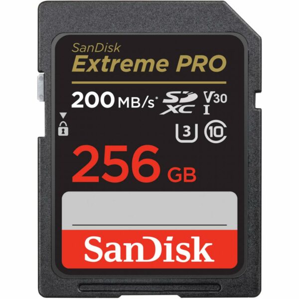 MEMORII. SD CARD Sandisk 256GB CL10 SDSDXXD-256G-GN4IN, „SDSDXXD-256G-GN4IN” (timbru verde 0.03 lei)