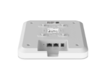 RG-RAP2200(E)