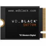 WDS100T3X0G-00CHY0