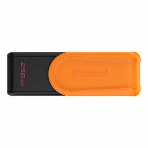 DTXS/256GB