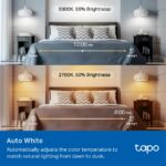 Tapo L535E