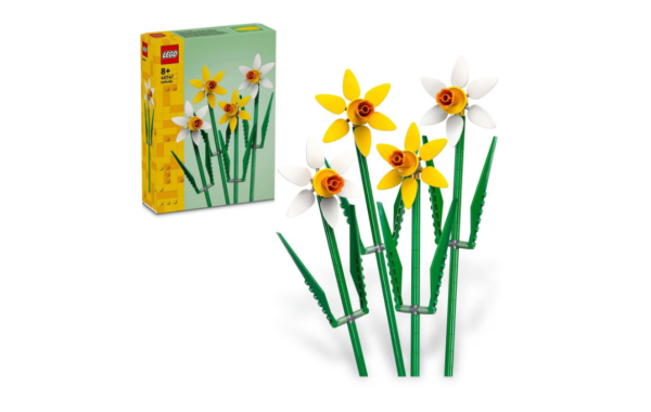 NARCISE, LEGOxxxx 40747 „LEGO40747”