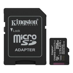 SDCS3/256GB