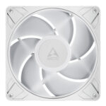 ACFAN00317A