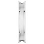 ACFAN00317A
