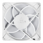 ACFAN00317A