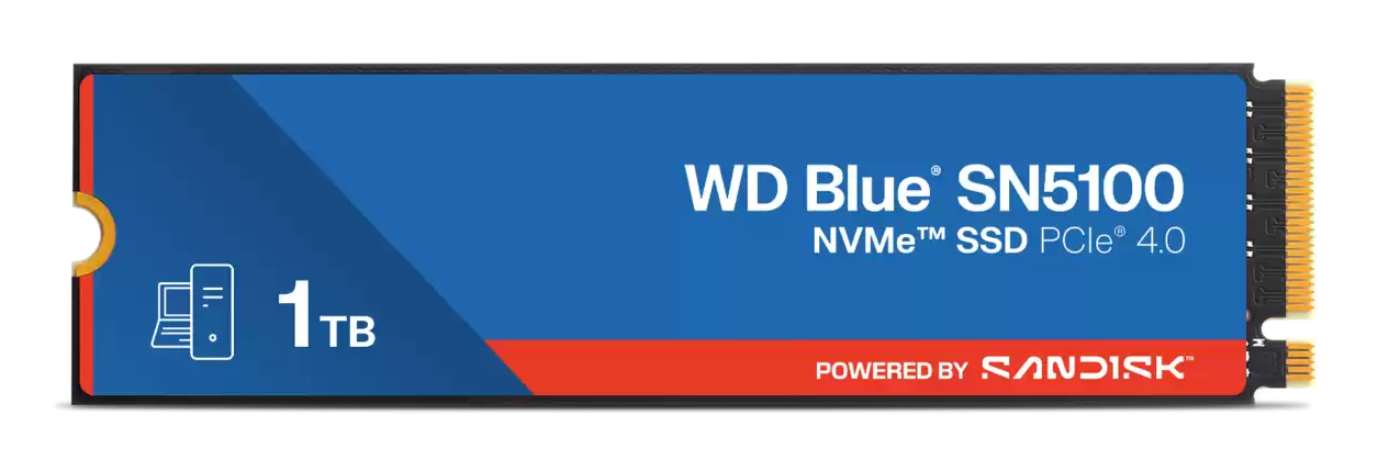 WDS100T5B0E-00CPE0
