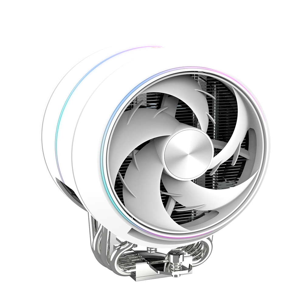 ZET5 WHITE