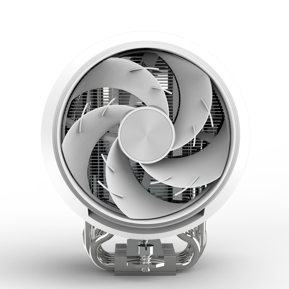 ZET5 WHITE