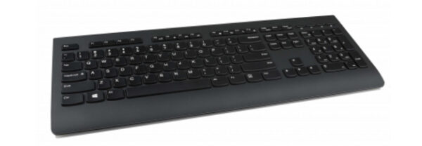 KEYBOARD WIRELESS/ENG 4X30H56841 LENOVO „4X30H56841” (timbru verde 0.8 lei)