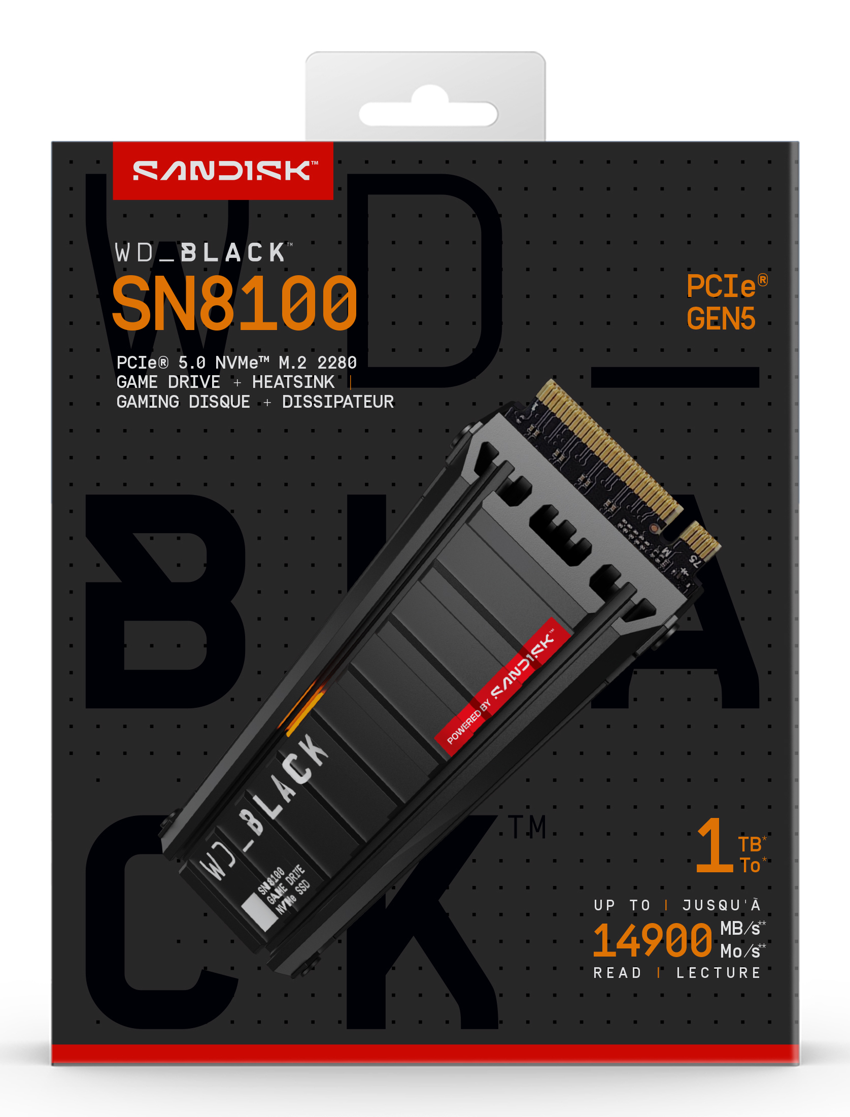 WDS100T1XHM-00CMT0