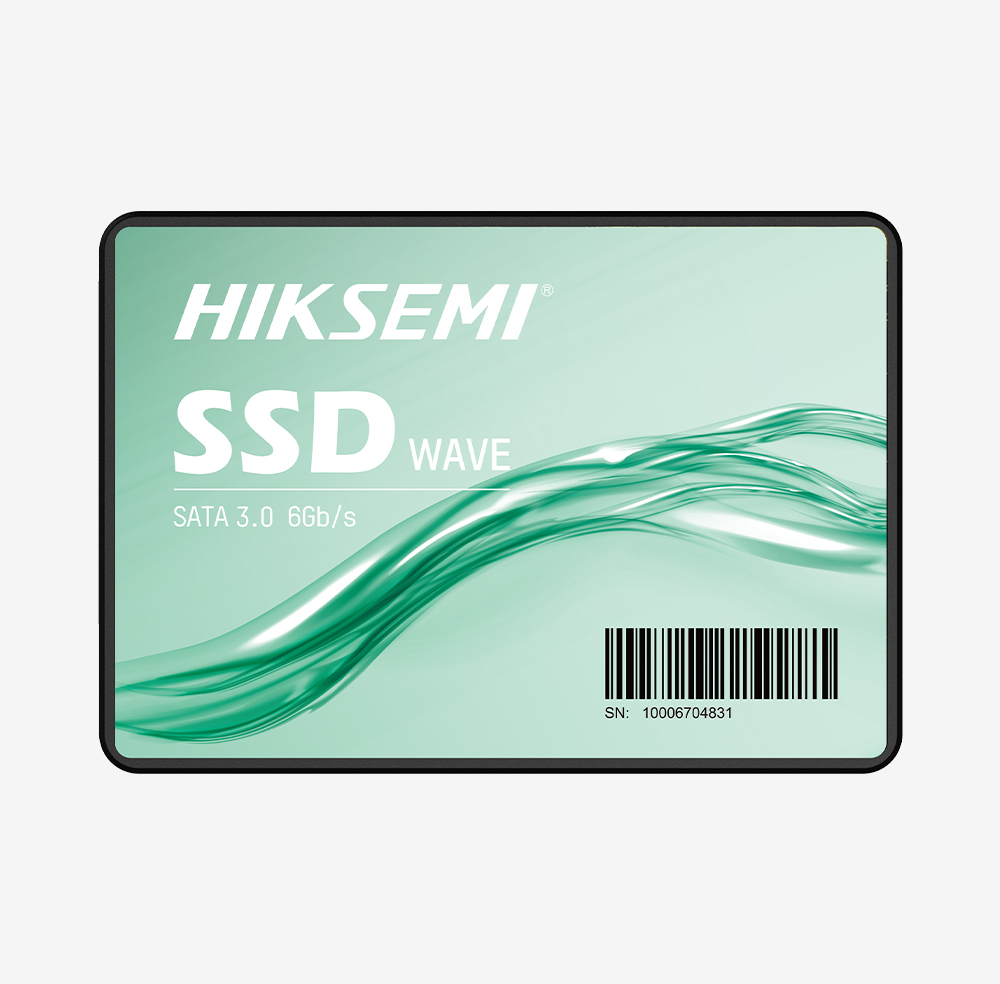 HS-SSD-WAVE(S)/256G