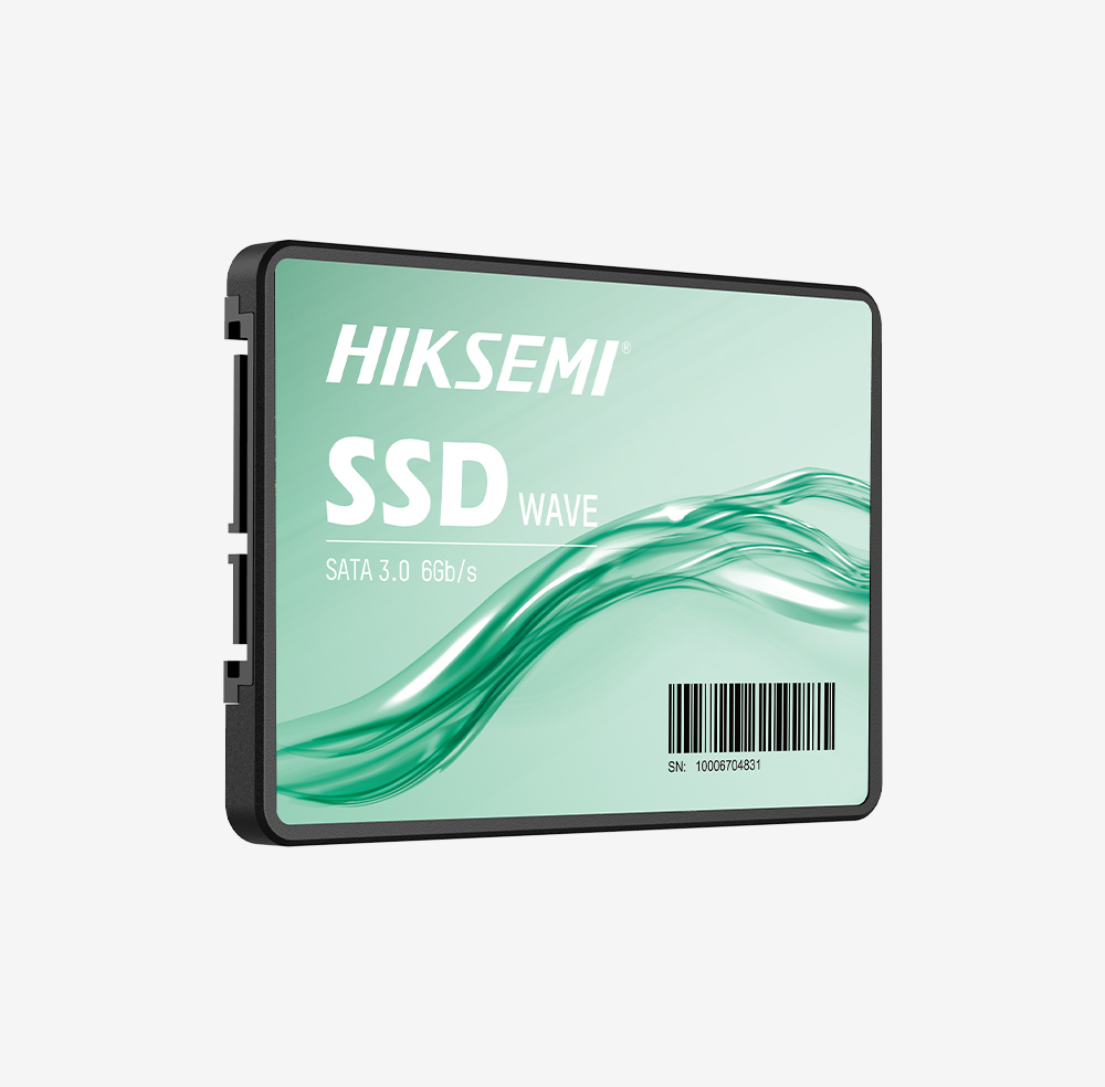 HS-SSD-WAVE(S)/512G
