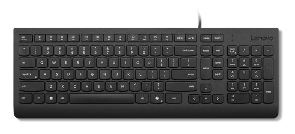 LENOVO Essential Wired Keyboard AI Romanian 096 (RO) „4Y41R64661” (timbru verde 0.8 lei)