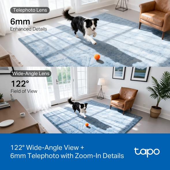 Tapo C245D