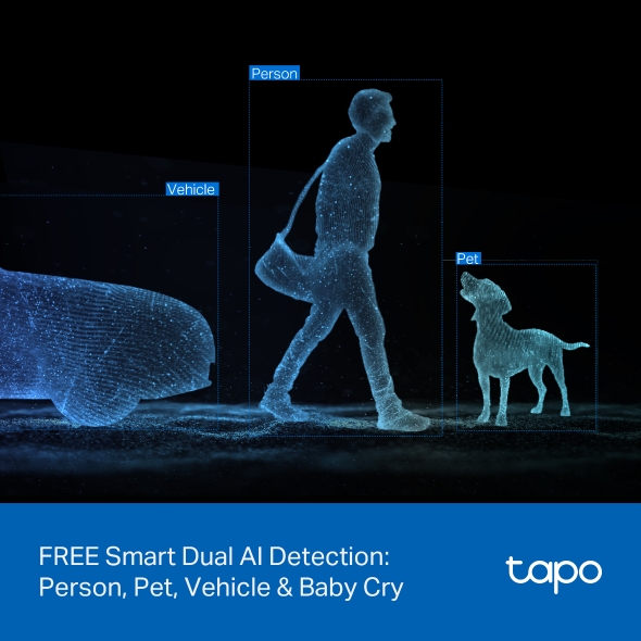 Tapo C245D