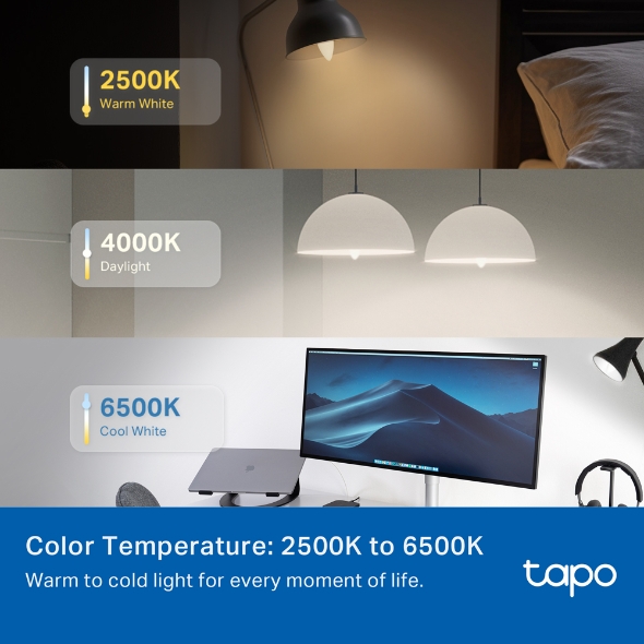 Tapo L430C(2-pack)