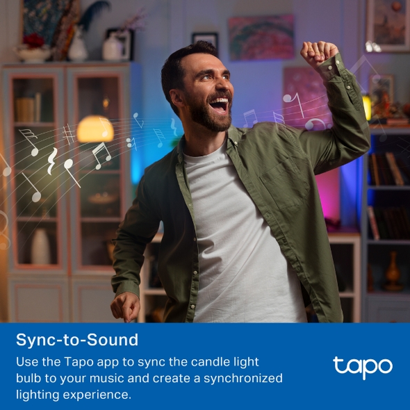 Tapo L430C(2-pack)