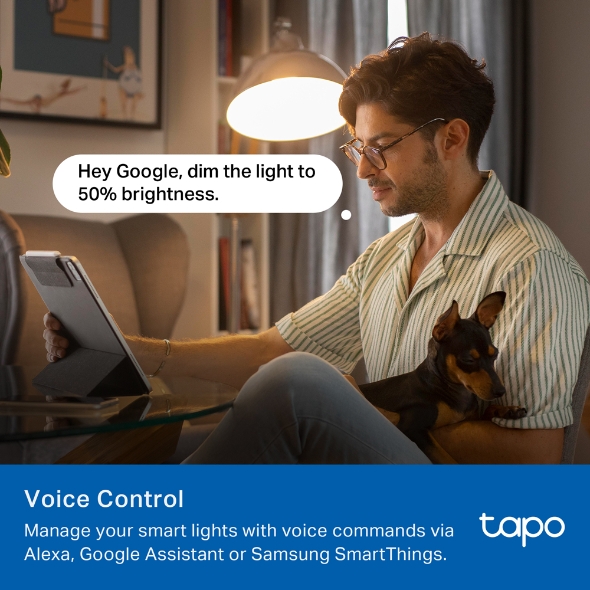 Tapo L430C(2-pack)