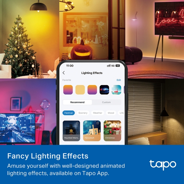 Tapo L430C(2-pack)