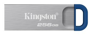 DTKNG2/256GB